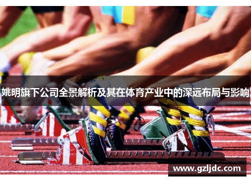 姚明旗下公司全景解析及其在体育产业中的深远布局与影响