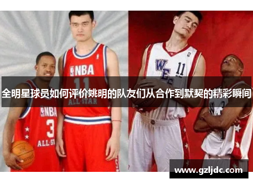 全明星球员如何评价姚明的队友们从合作到默契的精彩瞬间