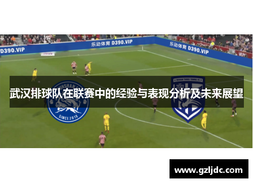 武汉排球队在联赛中的经验与表现分析及未来展望