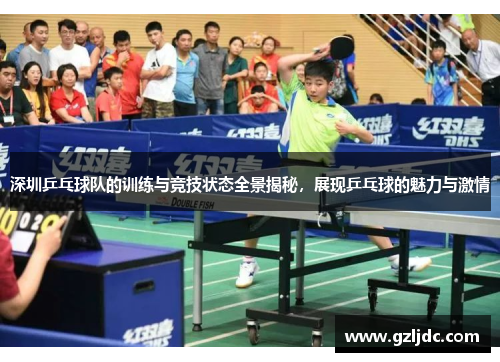 深圳乒乓球队的训练与竞技状态全景揭秘，展现乒乓球的魅力与激情
