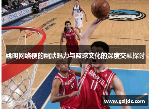 姚明网络梗的幽默魅力与篮球文化的深度交融探讨