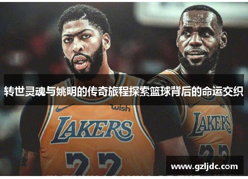 转世灵魂与姚明的传奇旅程探索篮球背后的命运交织